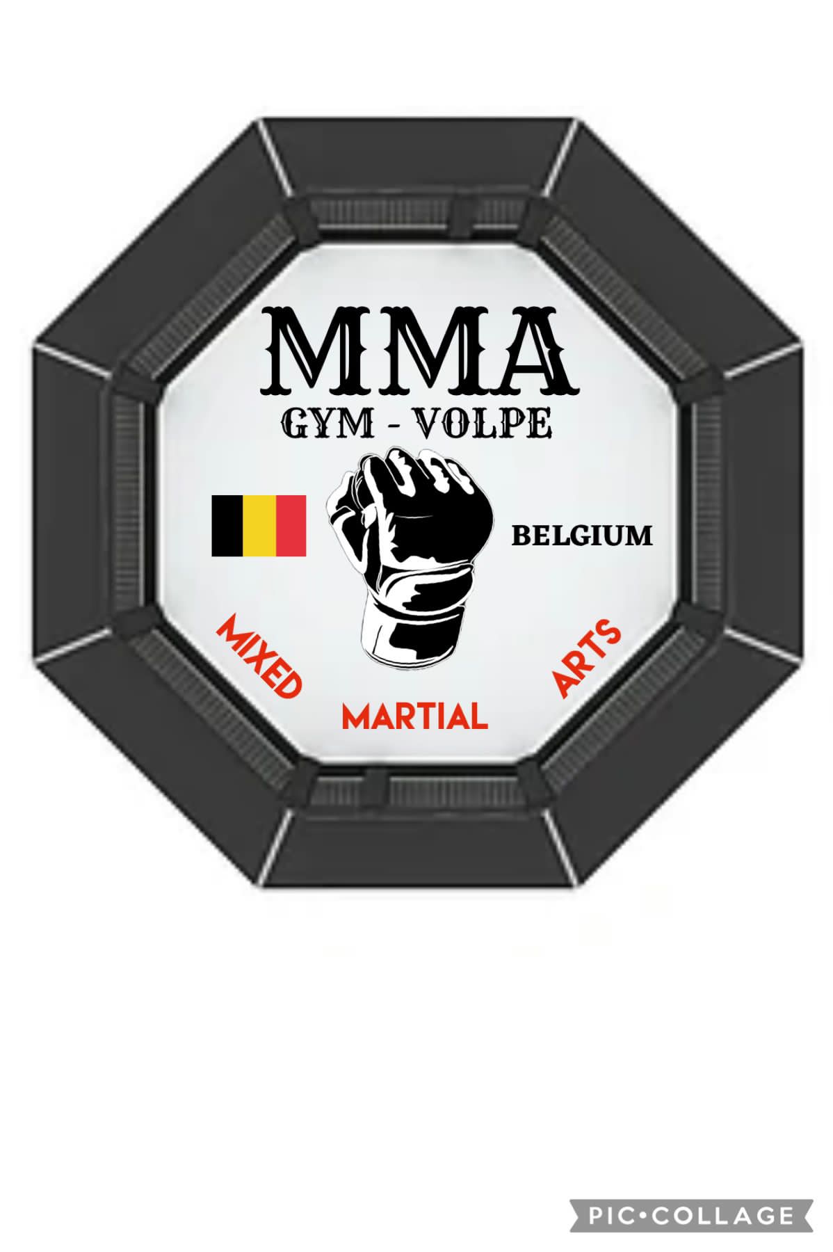 MMA GYM VOLPE